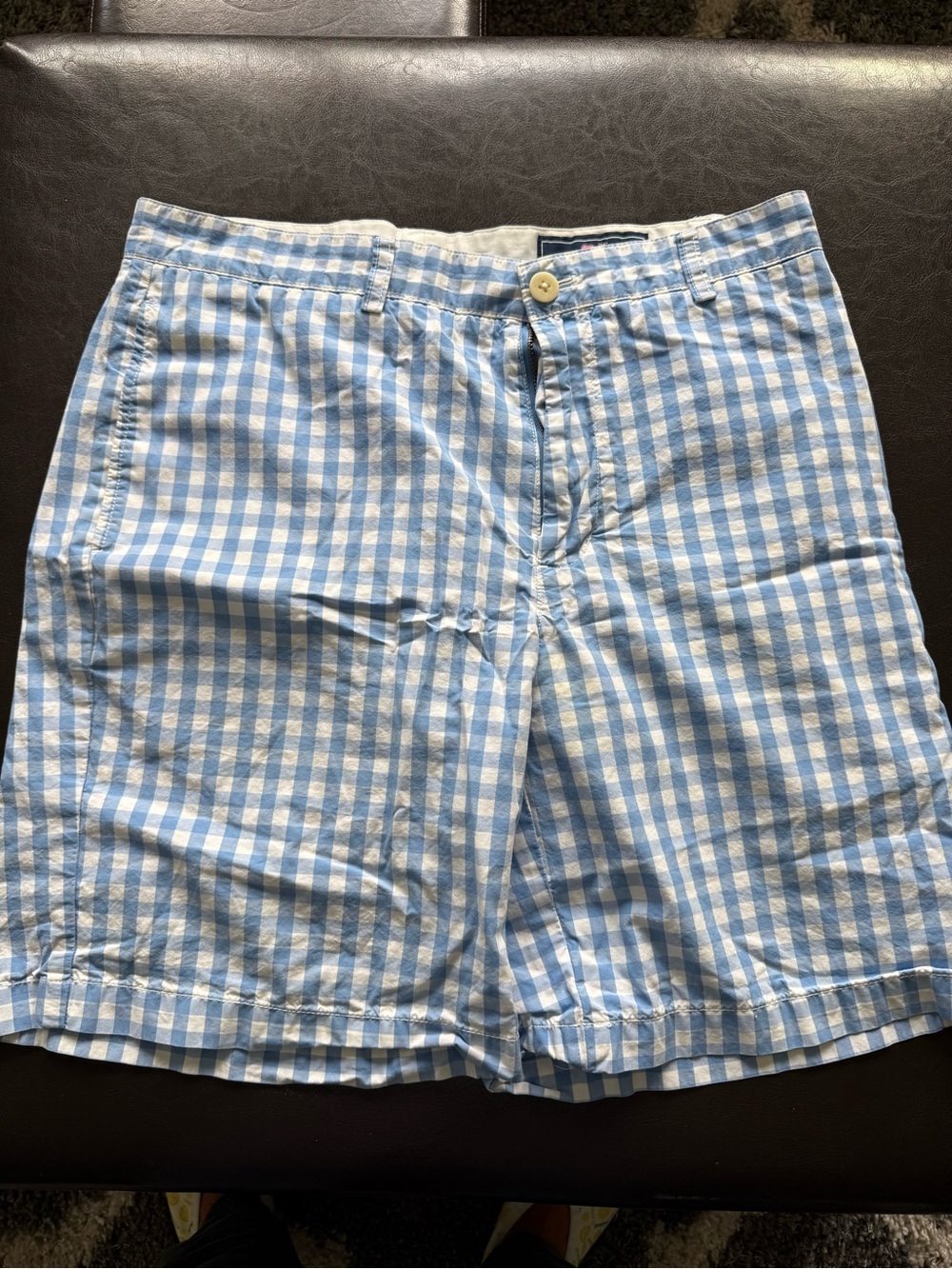 Vineyard Vines Light Blue & White Gingham Men’s Shorts